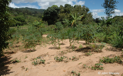 Soil erosion is negatively affecting both biodiversity and local communities